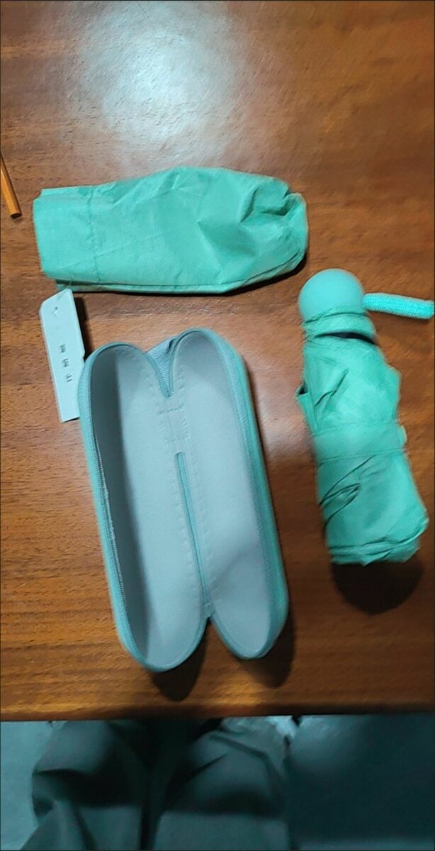 Parapluie Compact avec Étui