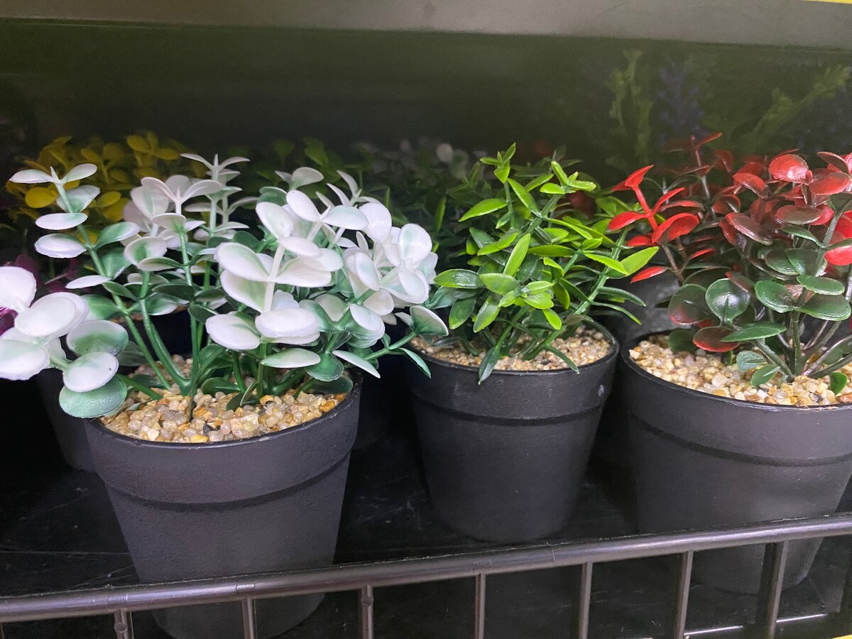 Plantes artificielles décoratives