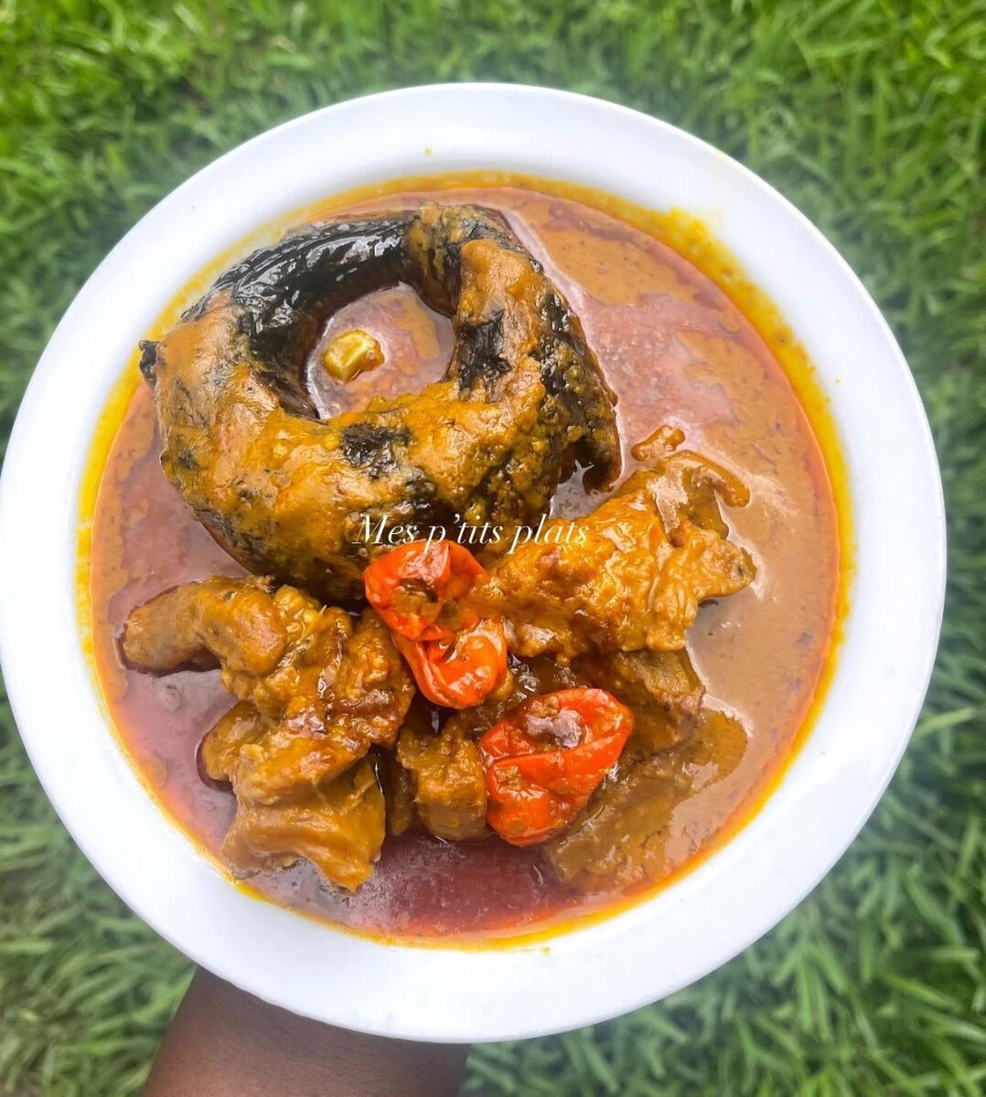 Délicieux Plats africains