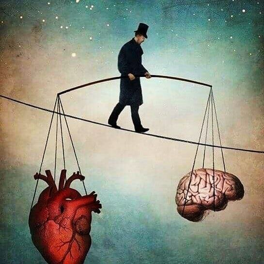 Livre « La raison contre le cœur »