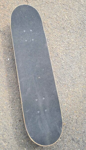 Planche à roulette lion