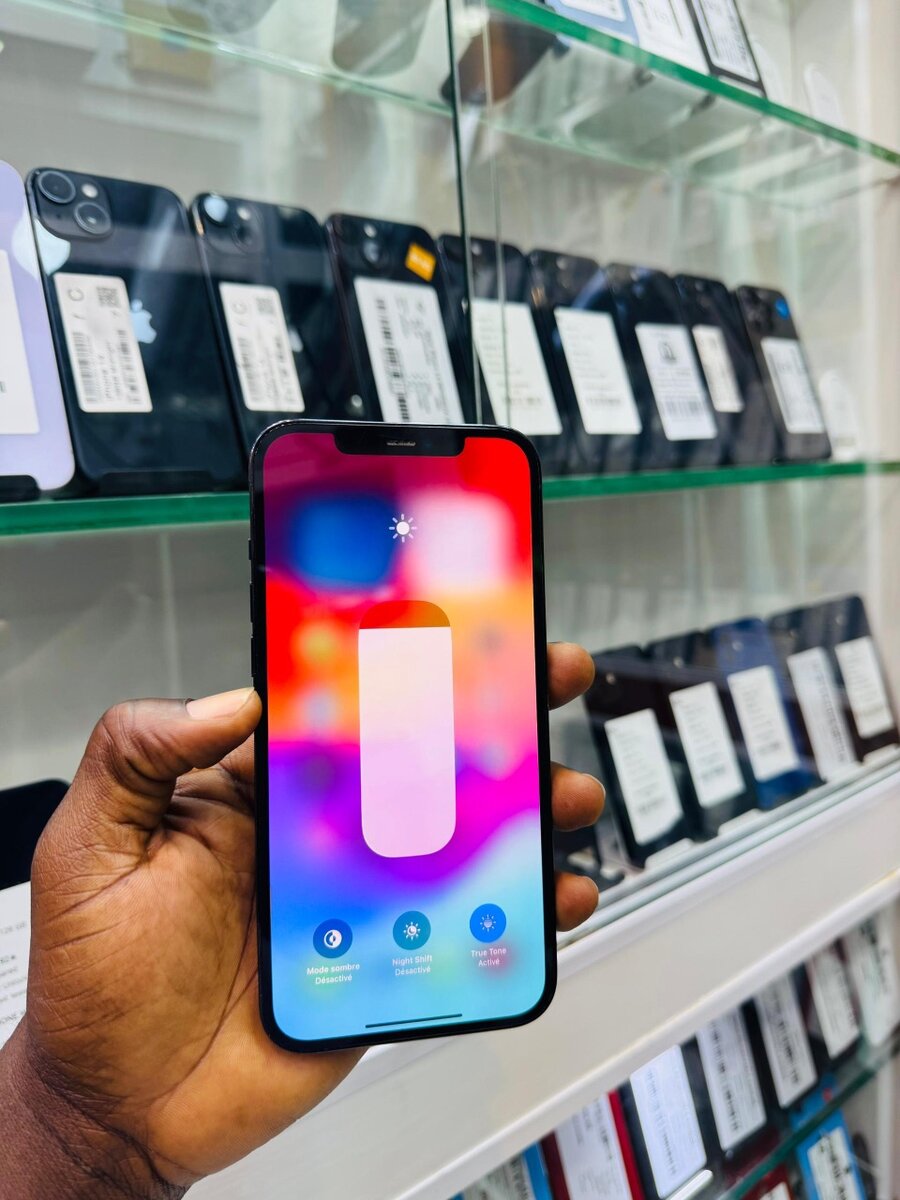 iPhone 12 Pro Max 256Go