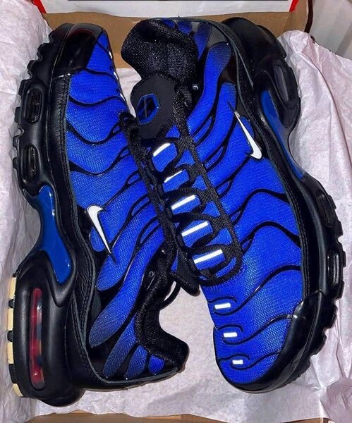Chaussures Nike TN bleu