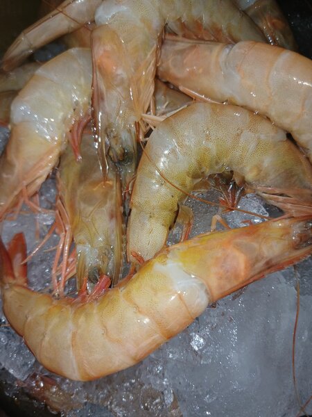 Crevettes