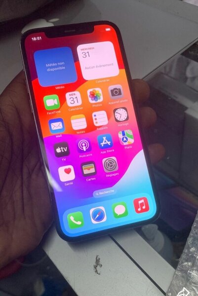 iPhone 12 Pro Max Gris