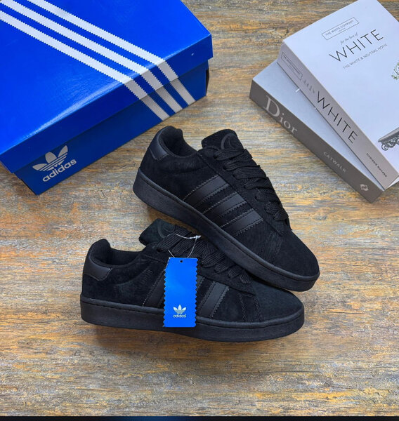 Adidas campus avec le carton