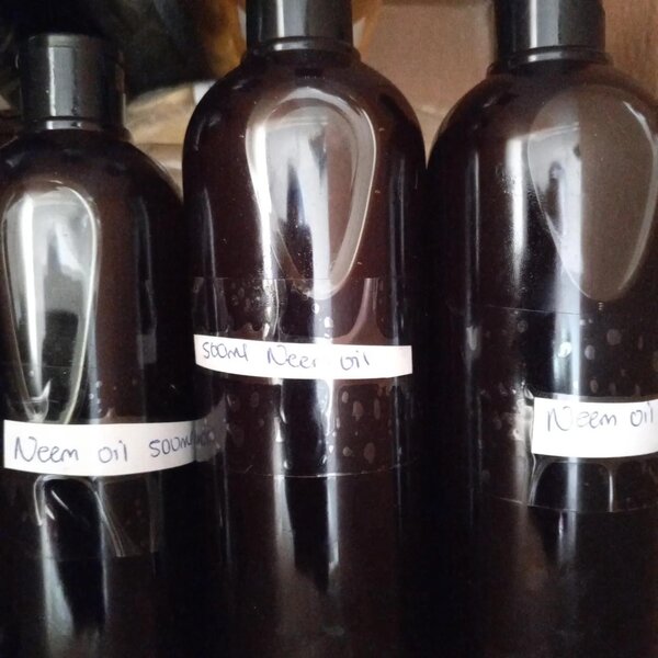 Naturally cold pressed Neem oil