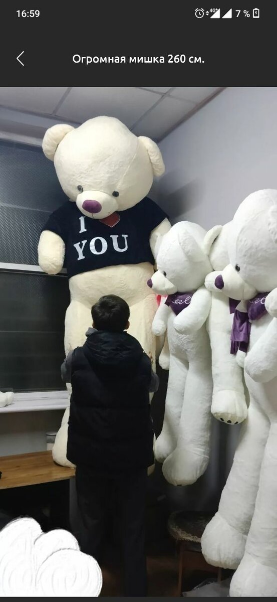 ПЛЮШЕВЫЕ ИГРУШКИ