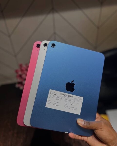 iPad Air Coloré 256 Go