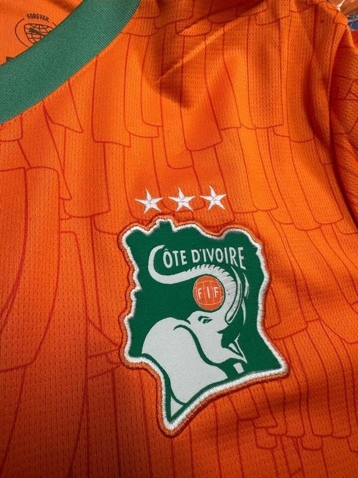 Maillot Côte d'Ivoire Puma