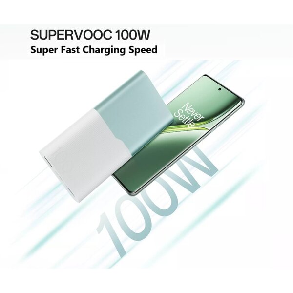 Chargeur externe OnePlus 100W