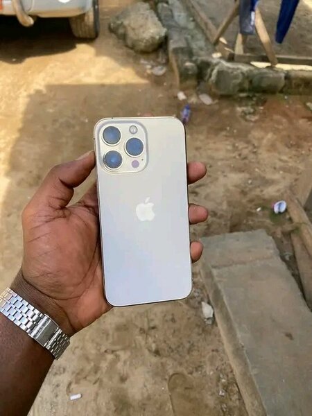 iPhone 12Pro Max Argent