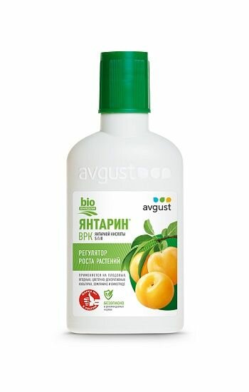 Янтарная кислота