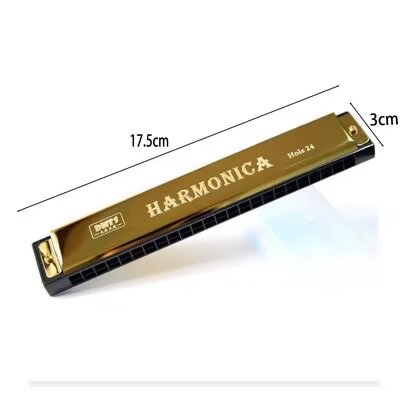 Harmonica 24 Trous Pro