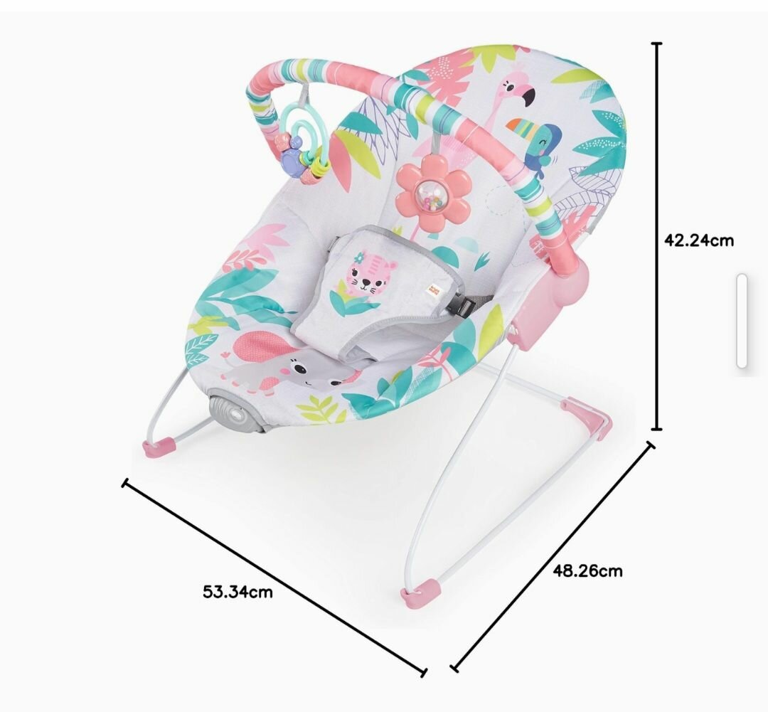 Brights Starts Baby rocker