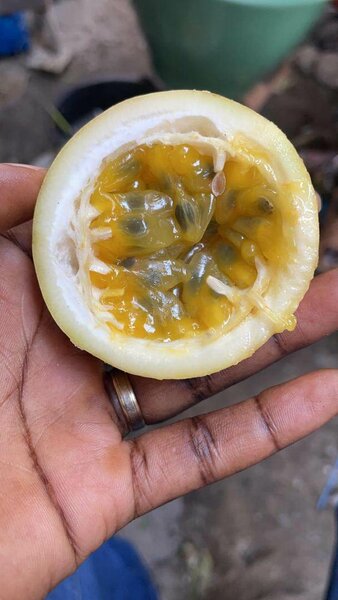 Fruit de passion 2 kilos