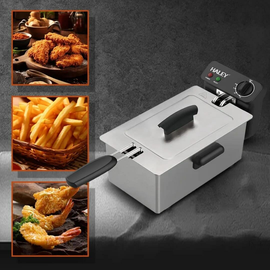 Friteuse électrique 2000W Haley