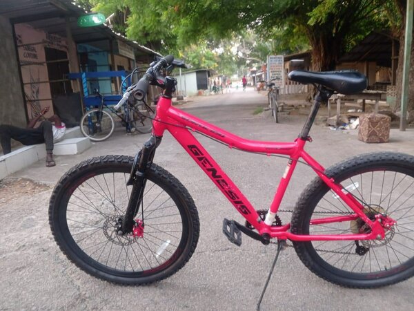 Vélo BERKSEERrose france aurev