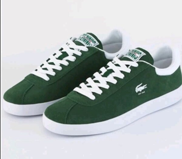 Chaussures basquette Lacoste