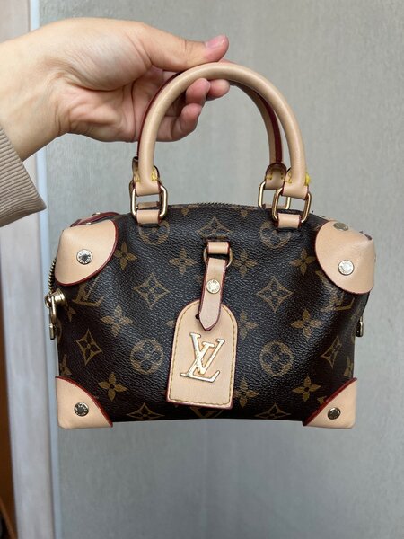 Сумка Louis Vuıtton