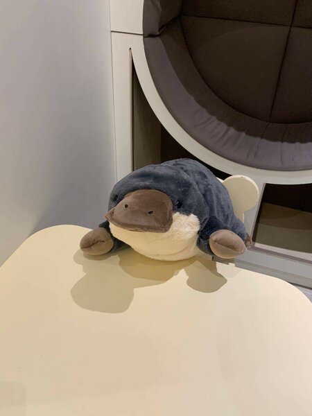 Мягкие игрушки Утканос Новый