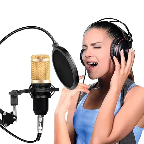 Professional condenser mic