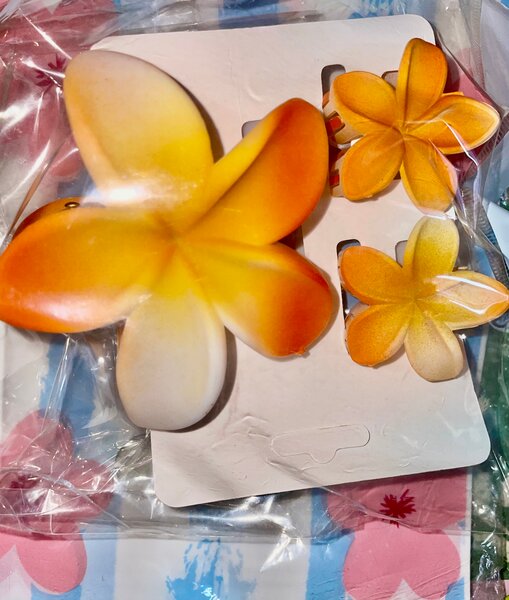 Pinces à cheveux fleurs colorées