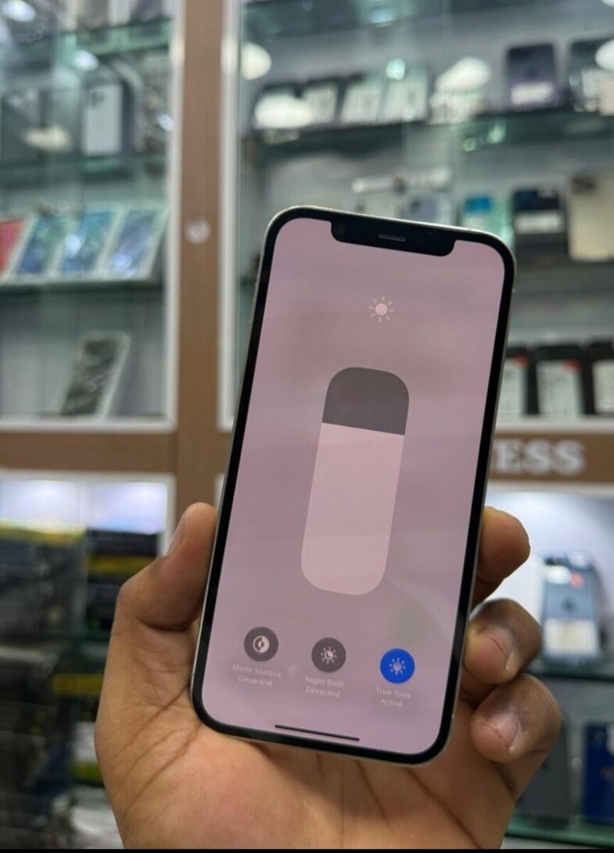 iPhone 12 Pro argent