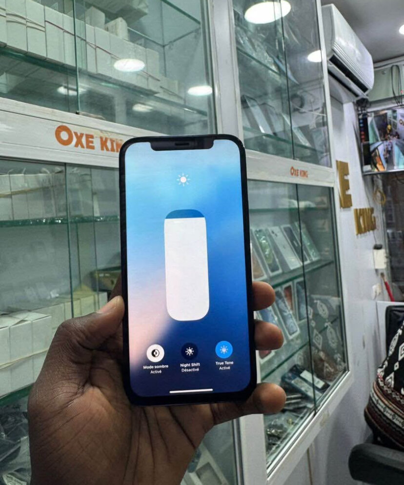 iPhone 13Pro Max 256Go