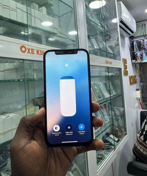 iPhone 13Pro Max 256Go