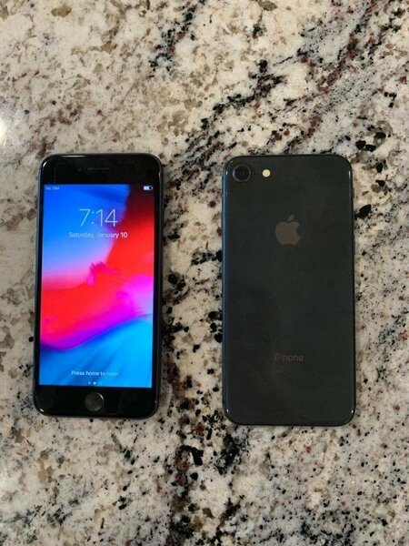 iPhone 7 en Rose Gold et Noir