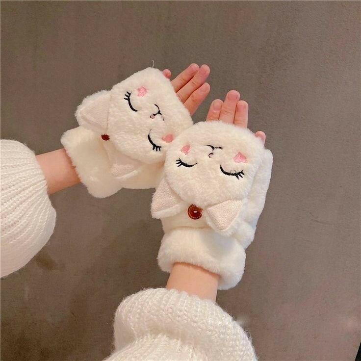 Stylish Gloves
