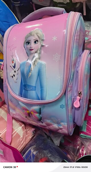 Sac CM1/CM2  Reine des neiges