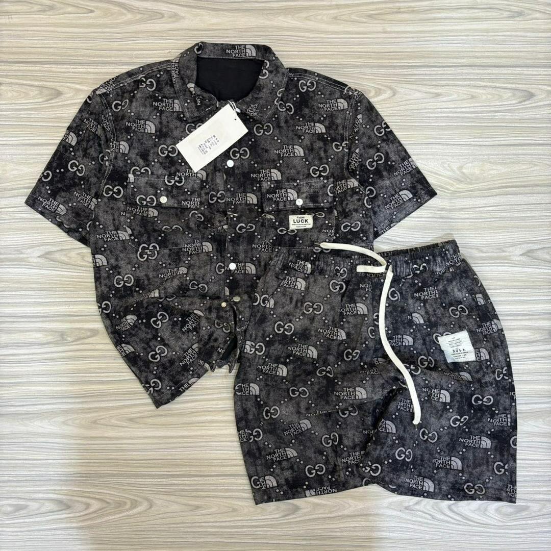 The north face brand