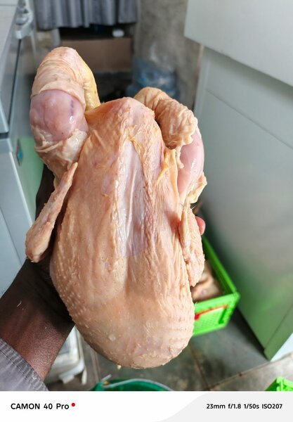 Poulet Frais Entier