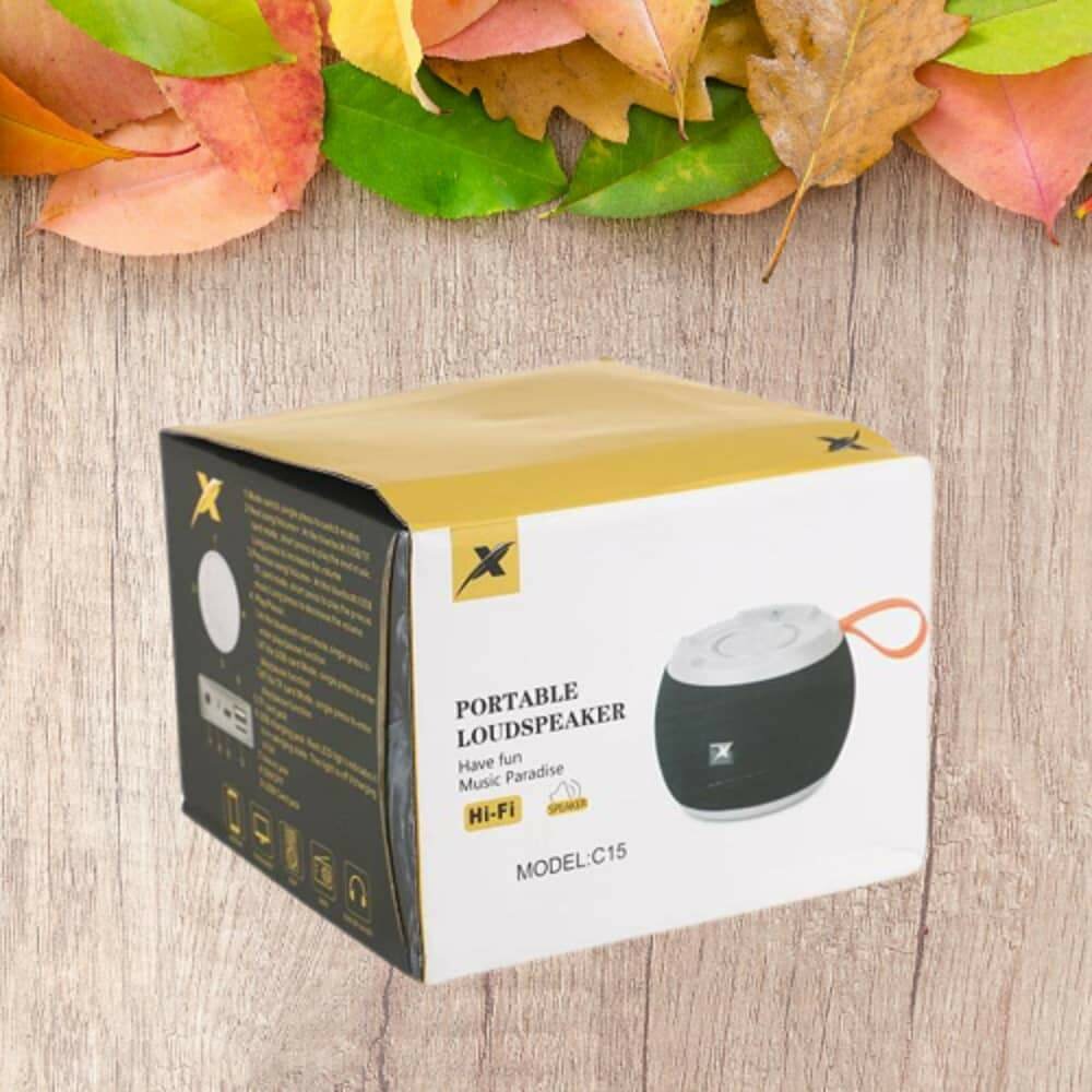 Enceinte Portable Hi-Fi