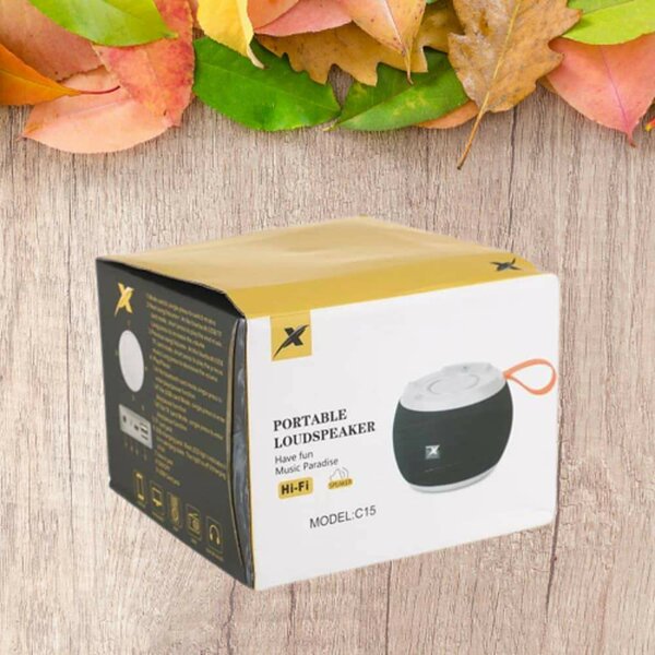Enceinte Portable Hi-Fi