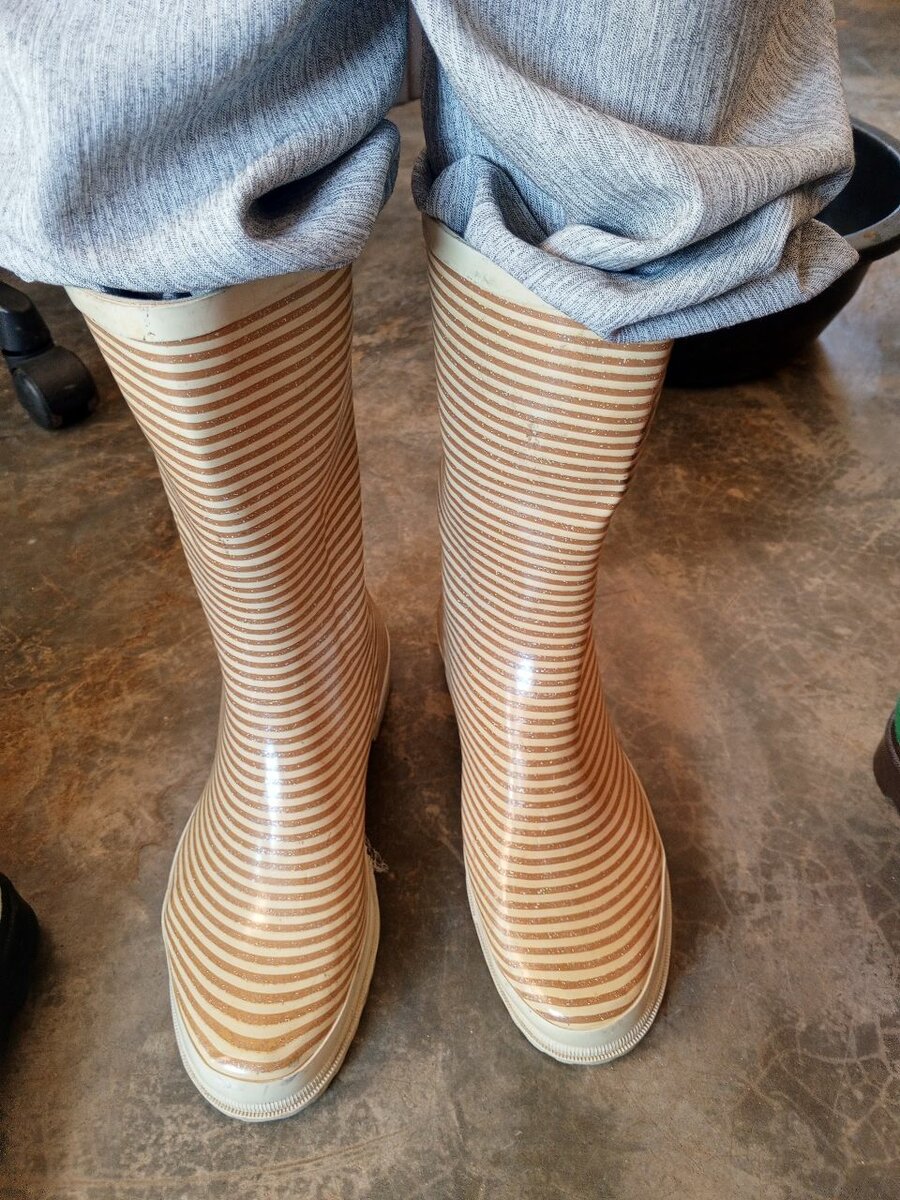 Rain boots/ ankle boots