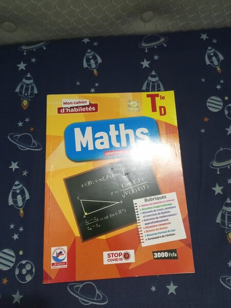 Cahier de Maths Tle D