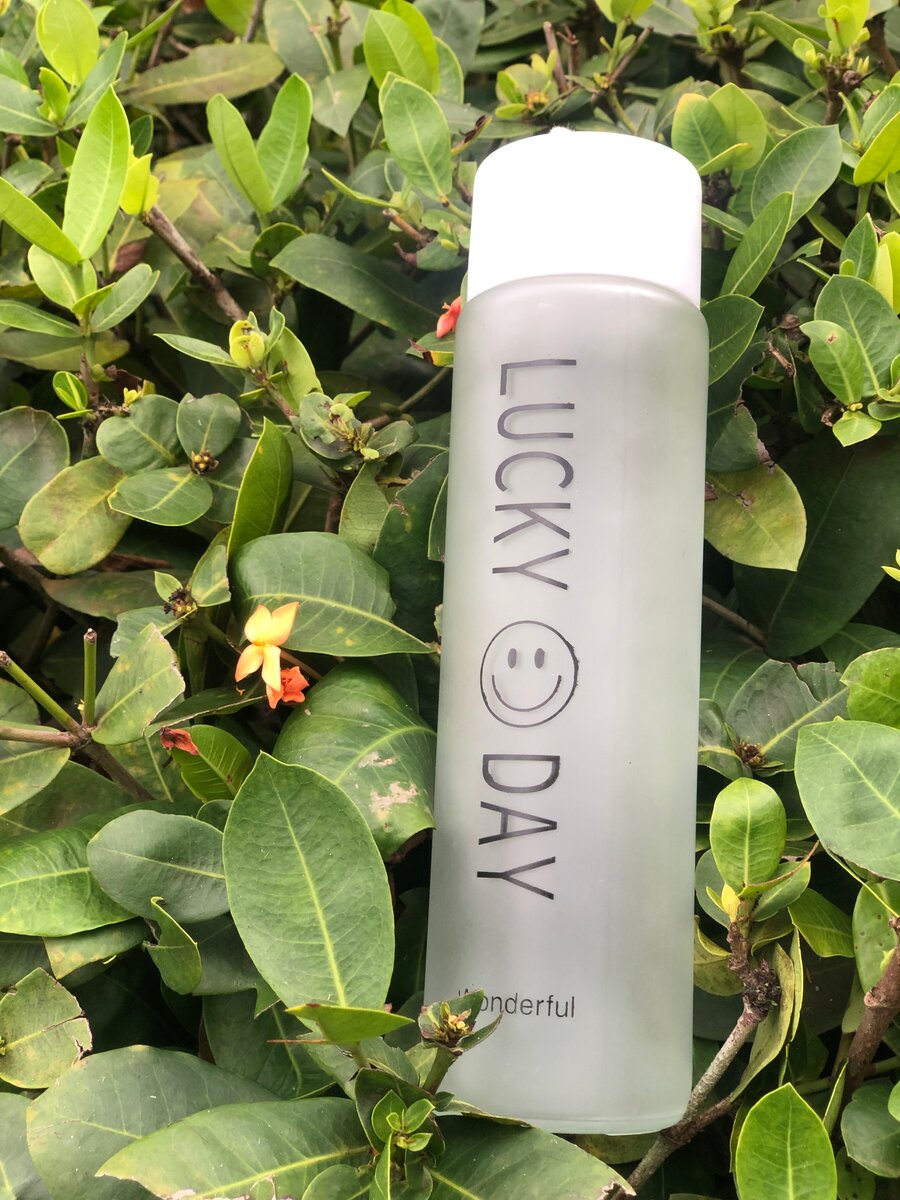 Gourdes cassables de 350ml