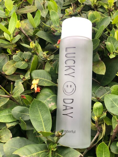 Gourdes cassables de 350ml