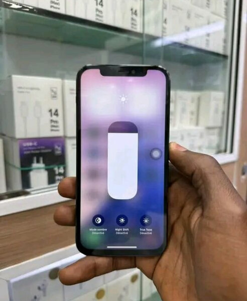 iPhone 12 Pro Reconditionné