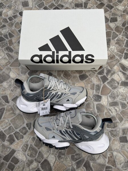 Adidas Sneakers Gris