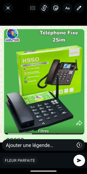 Téléphone Fixe Double SIM