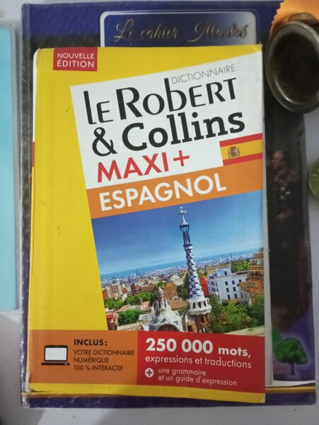 Dictionnaire Espagnol Maxi+