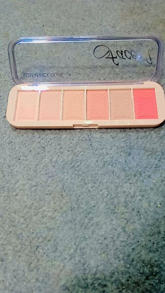 6in1 Blush