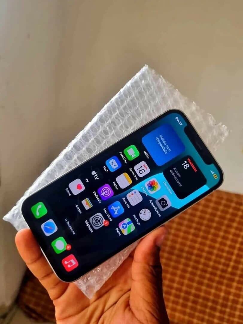 iPhone 12 Pro Débloqué Arg