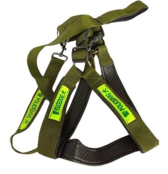 Harnais pour chien robuste