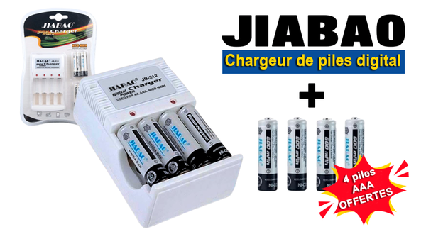 Chargeur de piles JIABAO