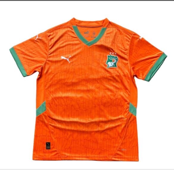 Maillot Puma Côte d'Ivoire